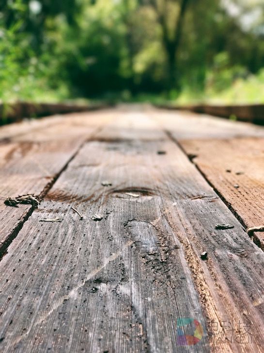 iPhone 7 Plus双摄像头+“肖像”模式有多神奇？