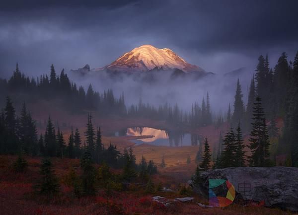 摄影新手怎么选购相机？终于懂了