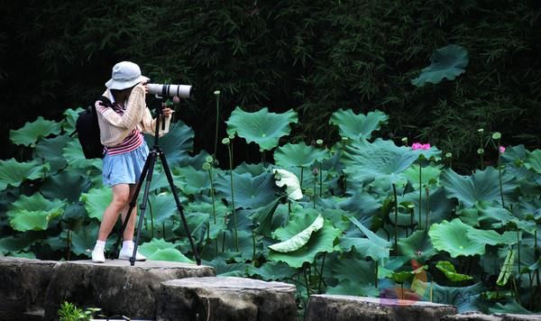 摄影新手怎么选购相机？终于懂了