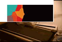 手环绑狗身上算不算微信步数？官方首次揭秘