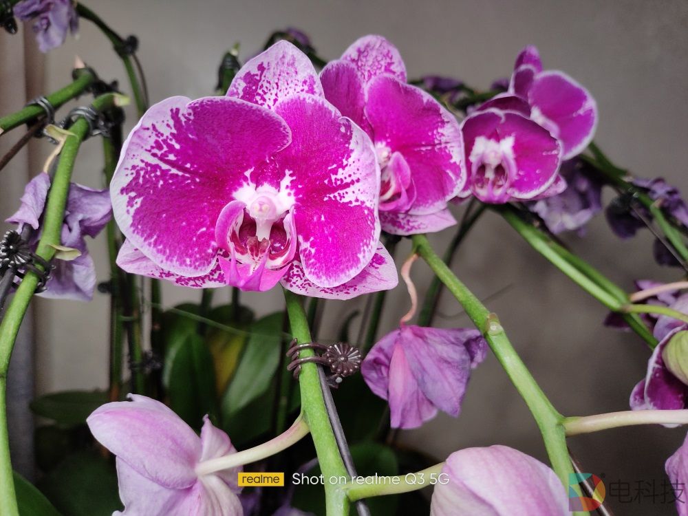 realme真我Q3样张