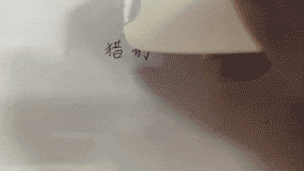 image13.GIF