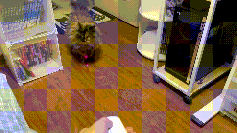 讯飞会议鼠标M610逗猫棒