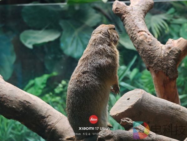 小米 17 Ultra