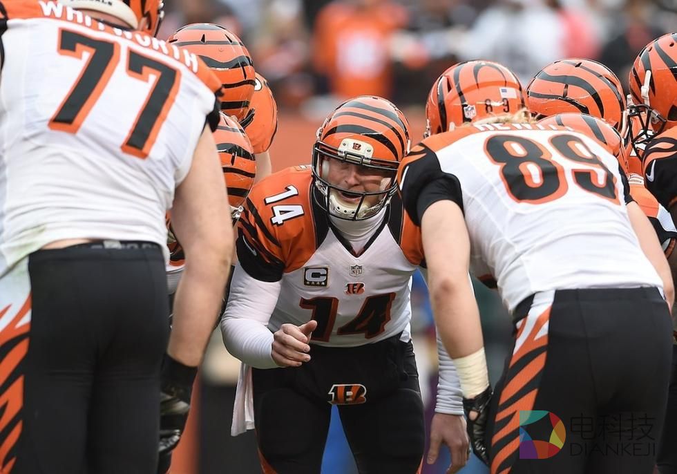 体育直播讨论网站