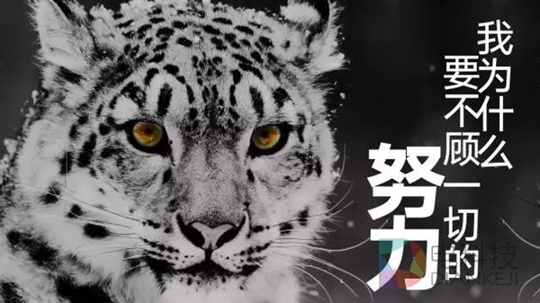 猎豹CEO傅盛：我为什么要不顾一切地努力？