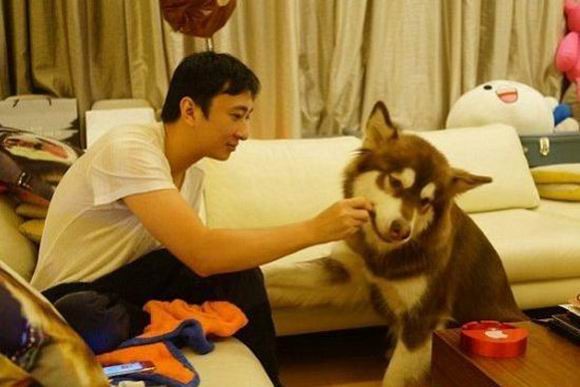 王思聪无基金从业资格 私募公司要被注销？