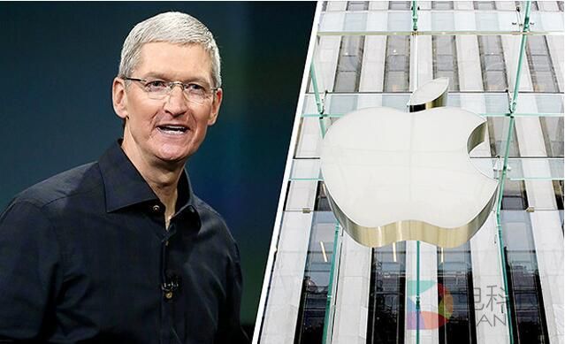 维基解密网站泄密文件称苹果CEO库克或担任美国副总统