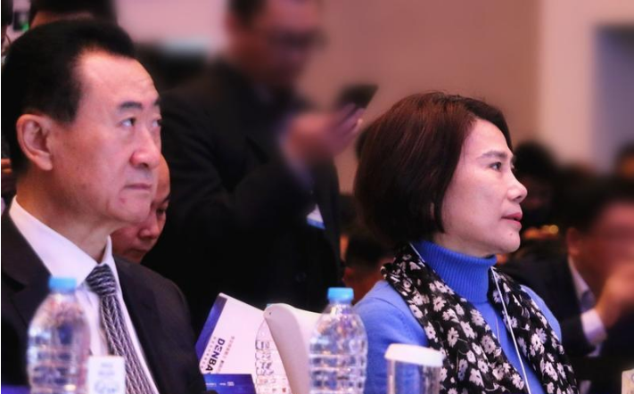 董明珠拉上王健林投资银隆的背后