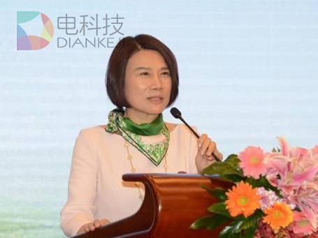 董明珠看好的珠海银隆  电池技术到底从哪来？