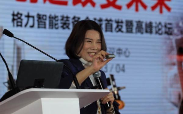 董明珠讽同行百亿收购：小偷永远是小偷 不可能当领导