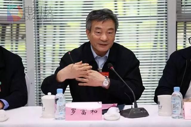 政协副主席罗富和：境内访问境外网站应提速