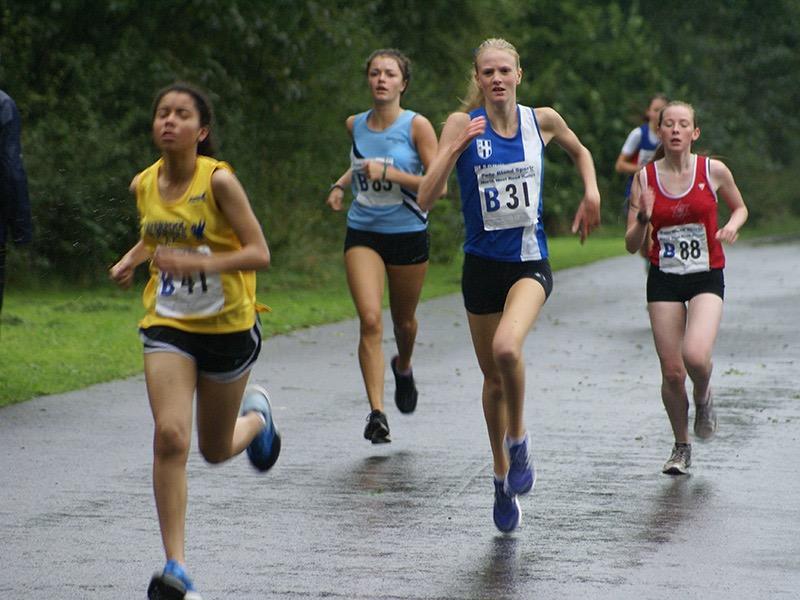 2016手游首超端游 占比 49.5％成份额最大市场 收入达819.2 亿