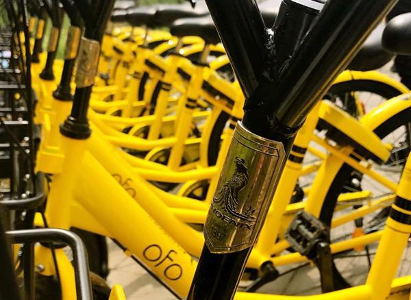 造一辆共享单车赚8元！上海凤凰将为ofo造500万辆