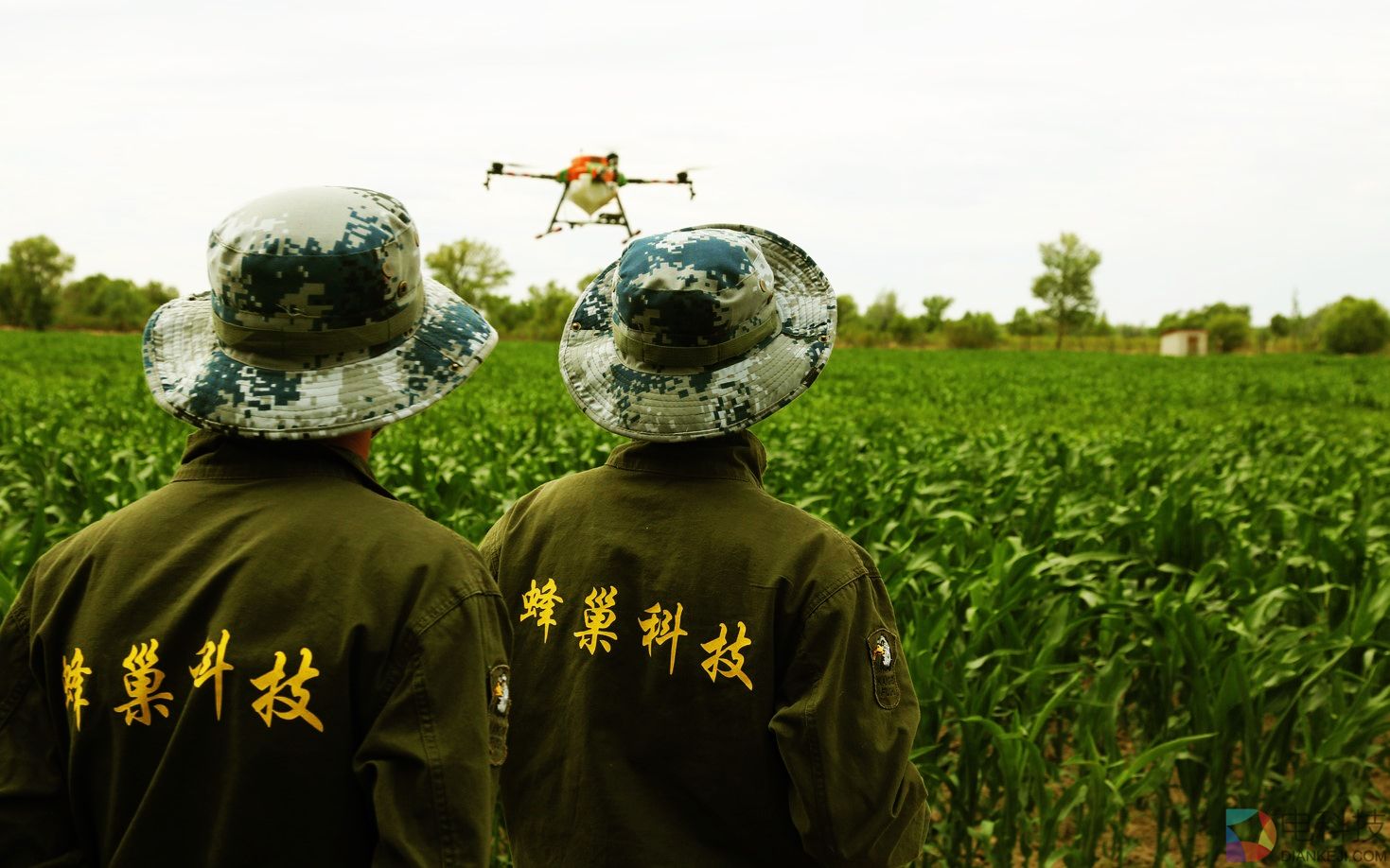 蜂巢科技宣布A轮融资6200万 工业级无人机行业黑马真的出现了？