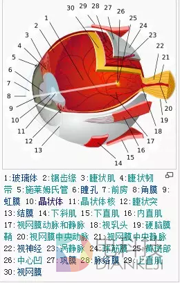 美军专家表示VR可能永远不会成功,这都怪你的穴居人大脑丨触乐 (3).png