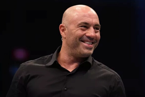 被VR魅力折服 终极格斗锦标赛解说员夸赞VR大法好