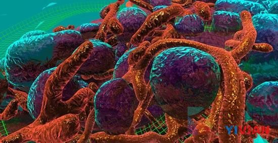 VR技术能够让科学家在癌细胞里穿梭自如