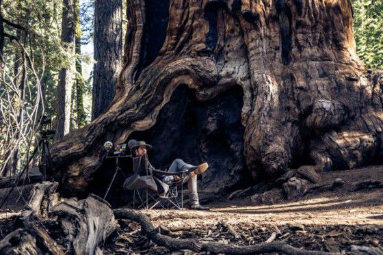 亲密接触大树感受自然环境 英工作室推新型VR软件