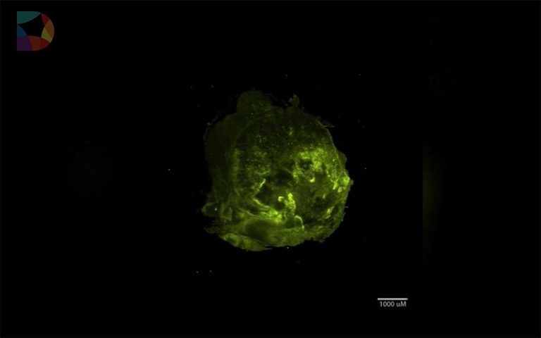 VR适应医学 剑桥大学获巨额资金致力VR研究癌症