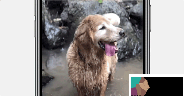 可在VR中浏览照片！Facebook正式推出3D照片功能