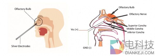 马来西亚展示电流气味技术，帮助用户在VR中闻到各种味道