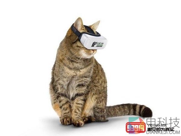 铲屎官们有救了！喵星人专用VR眼镜上市