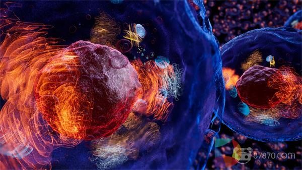 诺贝尔医学奖研究成果VR体验《昼夜节律》现已登陆VIVEPORT