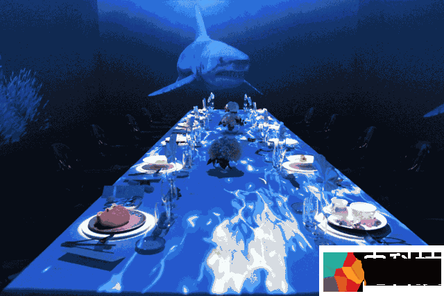 北京一沉浸式光影音乐餐厅成“网红”，打造别致的用餐体验