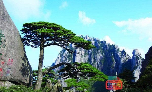 5G+VR让游客纵览黄山美景