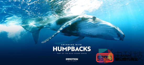 Aquatic VR与座头鲸一起游泳