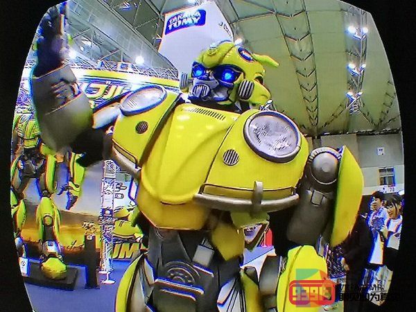 或许180度3D才是全景视频的正确打开方式