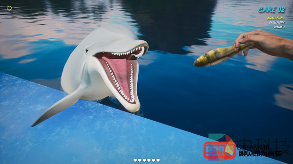 为海豚刷牙：VR模拟游戏《海豚训练师VR》将于明年第二季度发布