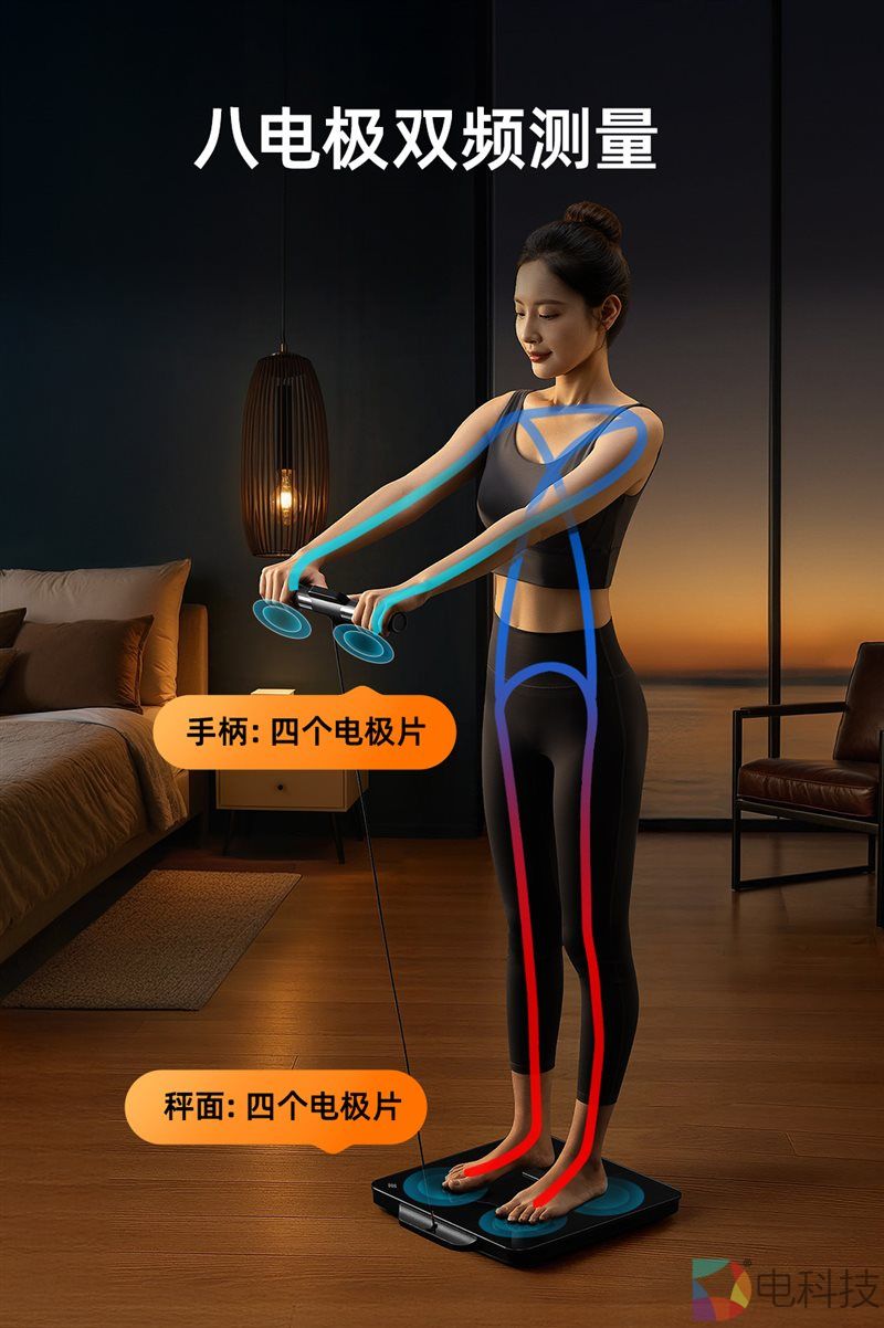 沃莱P7 Max体脂秤