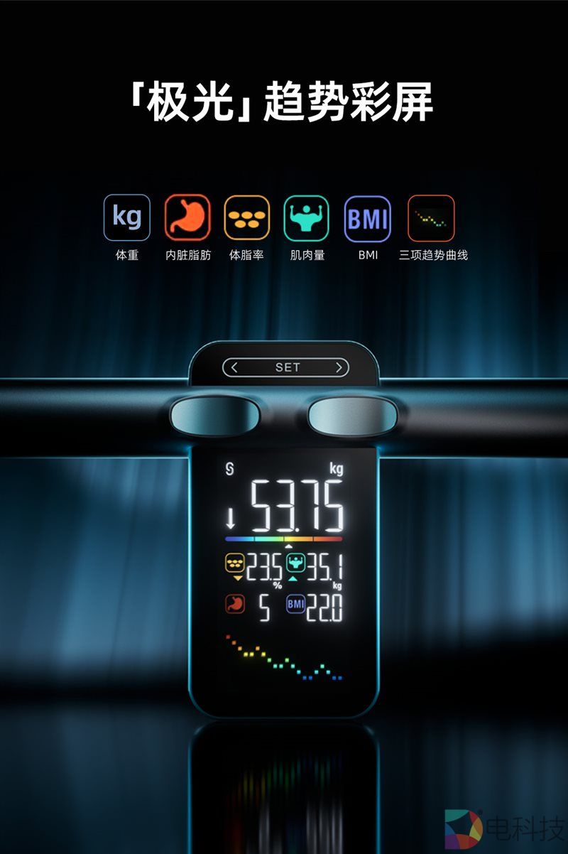 沃莱P7 Max体脂秤