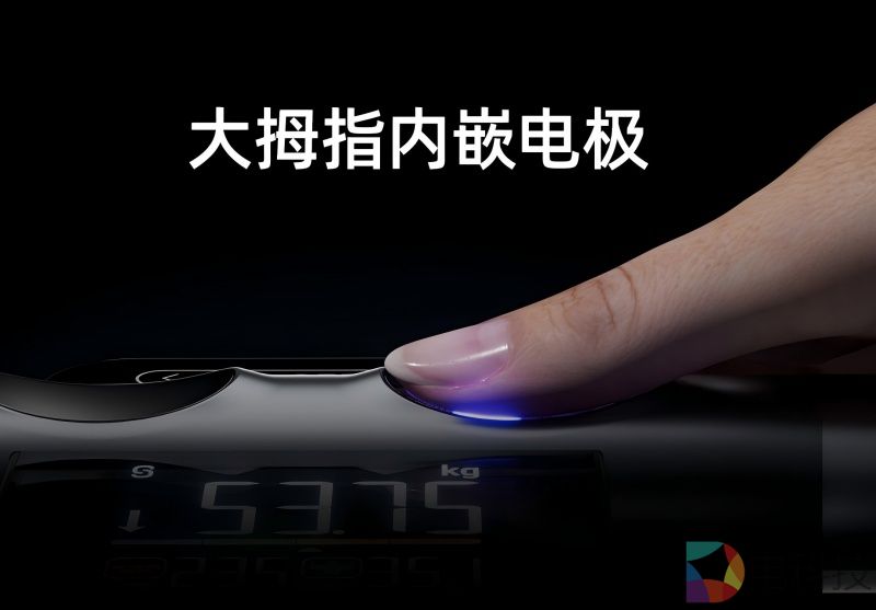 沃莱P7 Max体脂秤