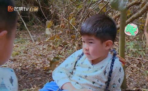 直播也要上牌照 湖南浙江双双躺枪