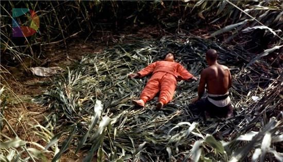 《罗曼蒂克消亡史》：民国为什么会是罗曼蒂克的？