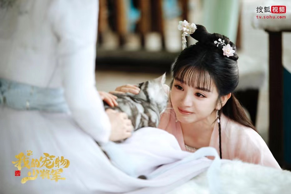   《我的宠物少将军》会员收官  “猫薄荷CP”甜中带虐留足悬念