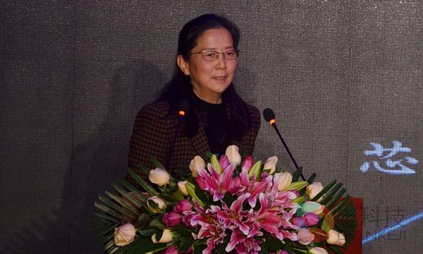 2016中国平板显示产业趋势研讨会 (6).jpg