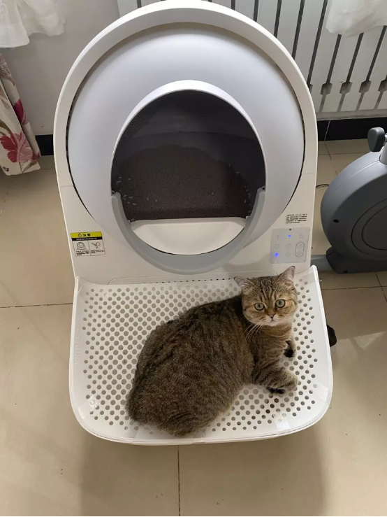 告别脏乱累， CATLINK智能猫砂盘解放铲屎官双手970.png