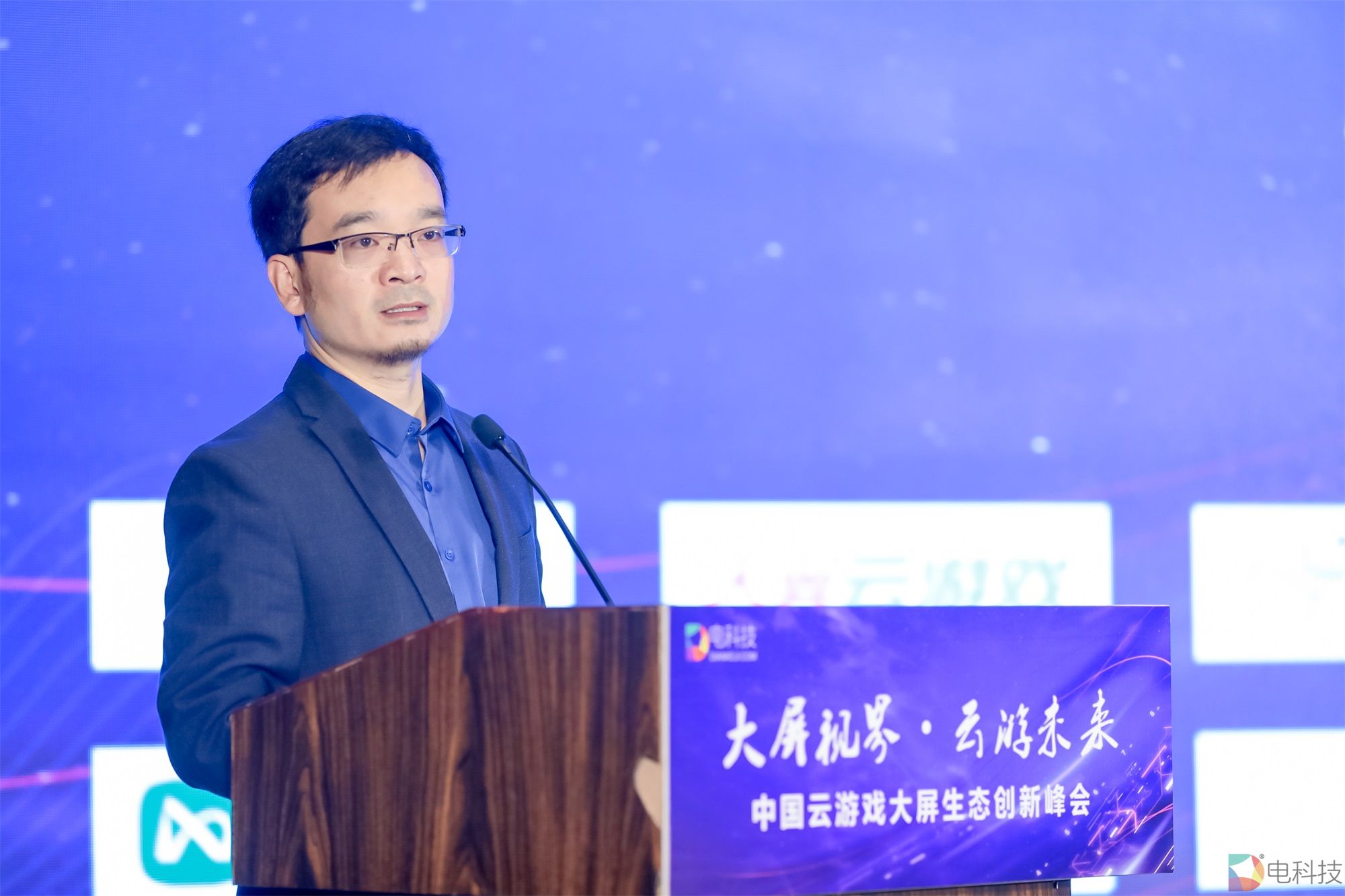 中国电子视像行业协会副秘书长董敏