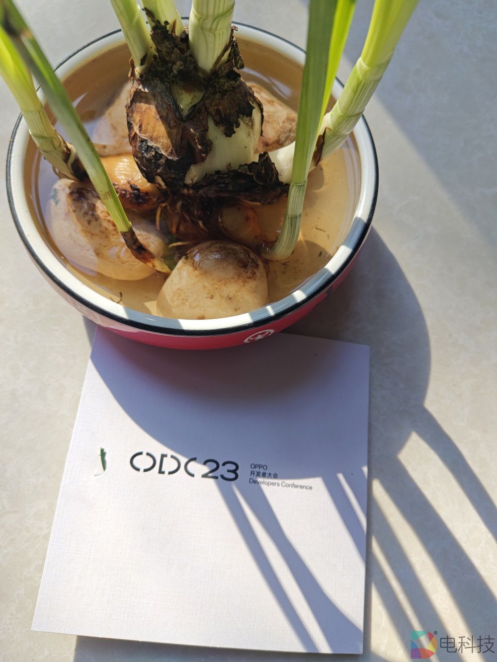 oppo开发者大会