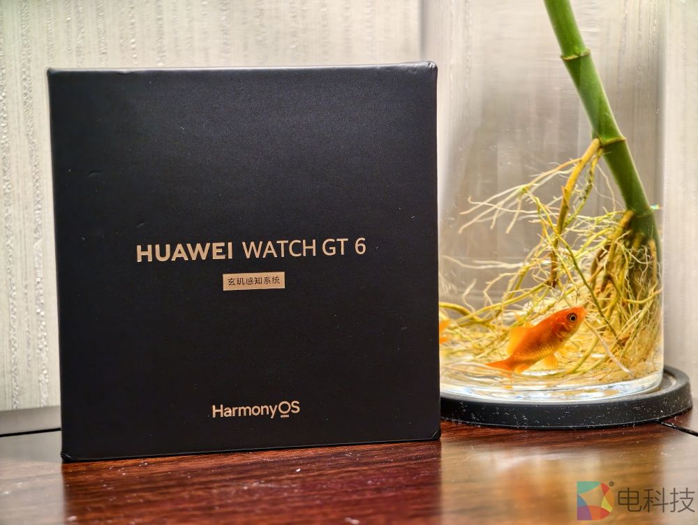 华为WATCH GT 6：玄玑系统解锁健康监测新维度，千元旗舰手表最优解
