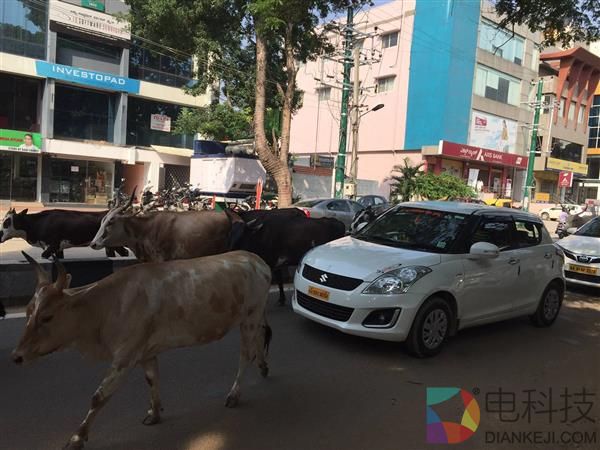 顺丰菜鸟互撕时 你错过了一条大新闻！