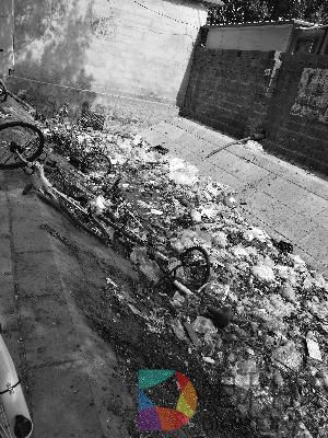 共享单车横七竖八躺在臭水沟，附近商户：大概风吹的