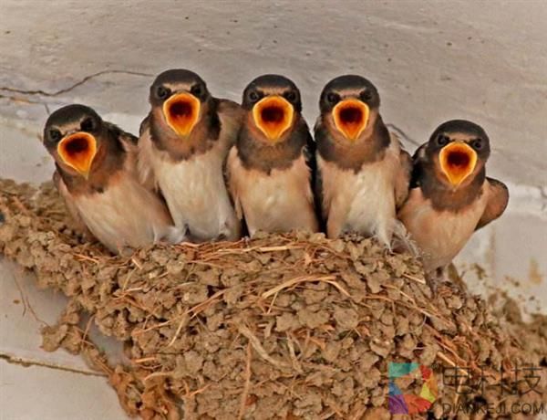 黑客高手对决常用术语、行规:一般人我不告诉他