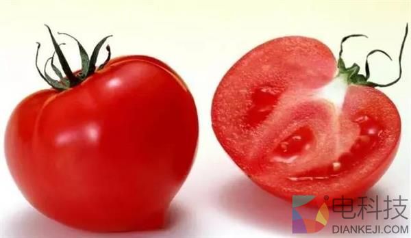 西红柿为什么没小时候好吃了？科学家找到真相
