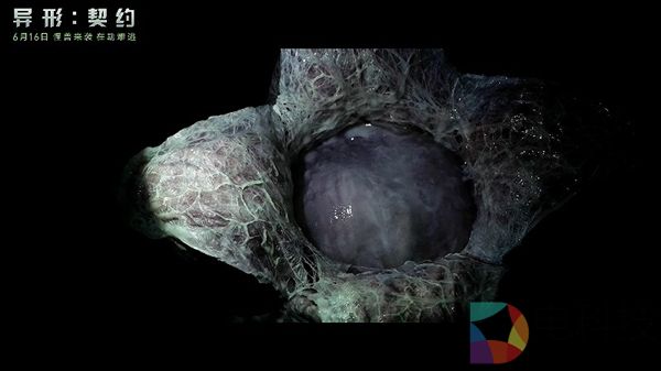《异形：契约》中文新预告：太空地狱抱脸虫惊悚回归