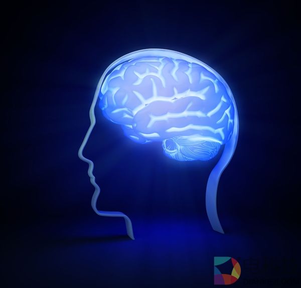 人类大脑如此复杂：具有11维几何空间